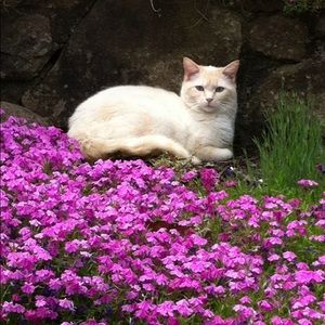 Meet your Posher, Vicky